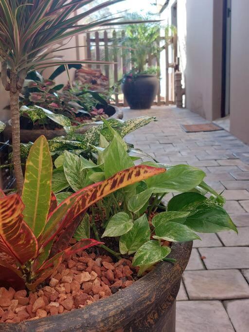 Hide Away On 21 Apartment Mossel Bay Exterior photo
